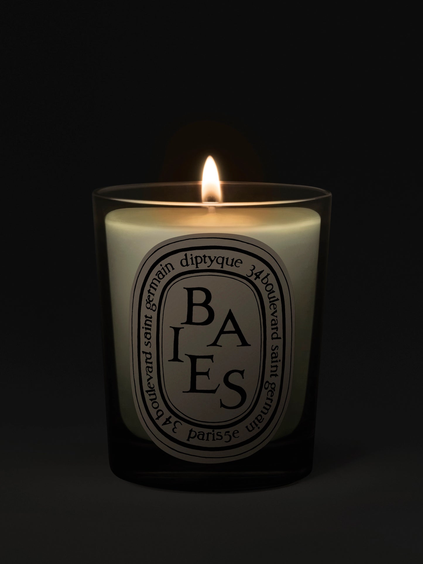 Baies (Berries) Classic Scented Candle