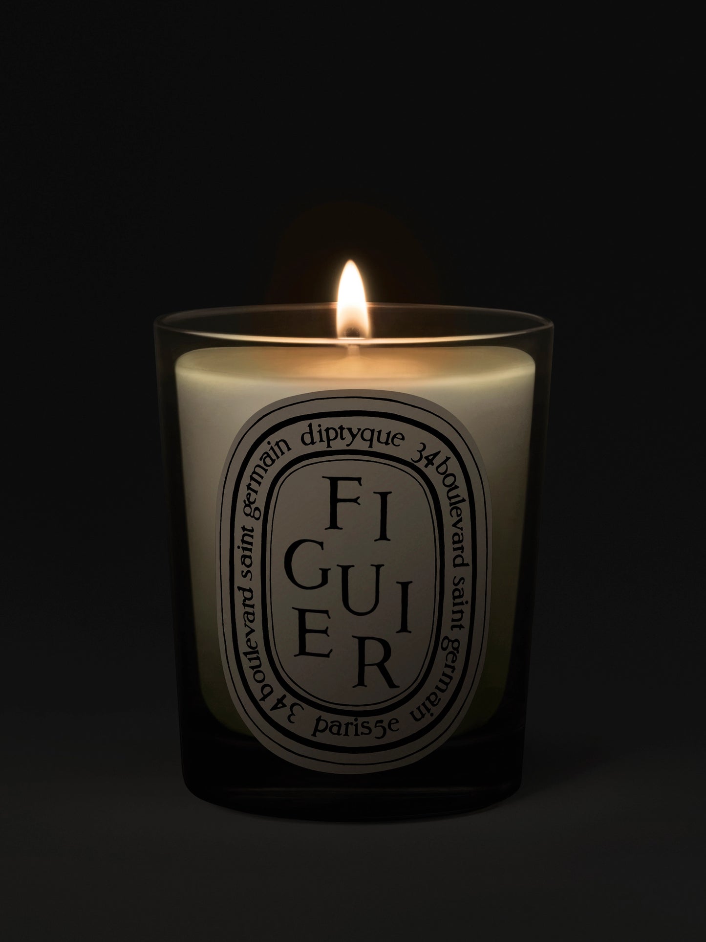 Figuier (Fig Tree) Classic Scented Candle