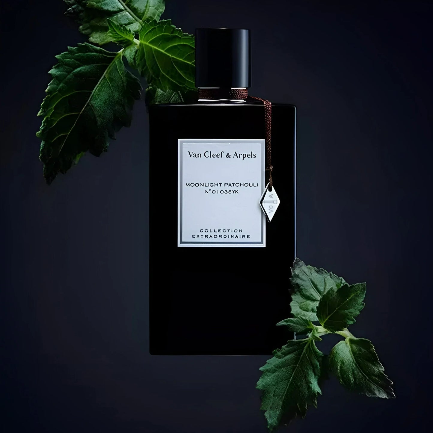 Moonlight Patchouli