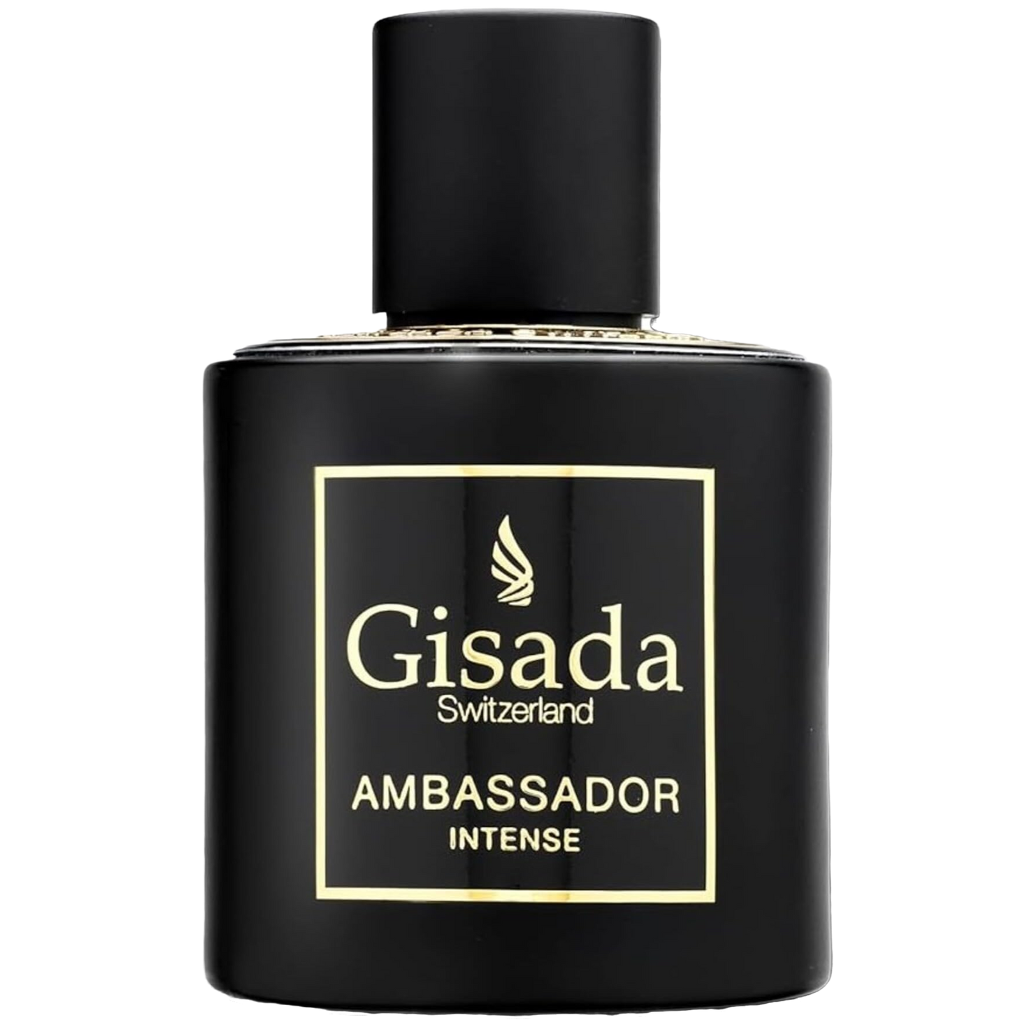 Ambassador Intense