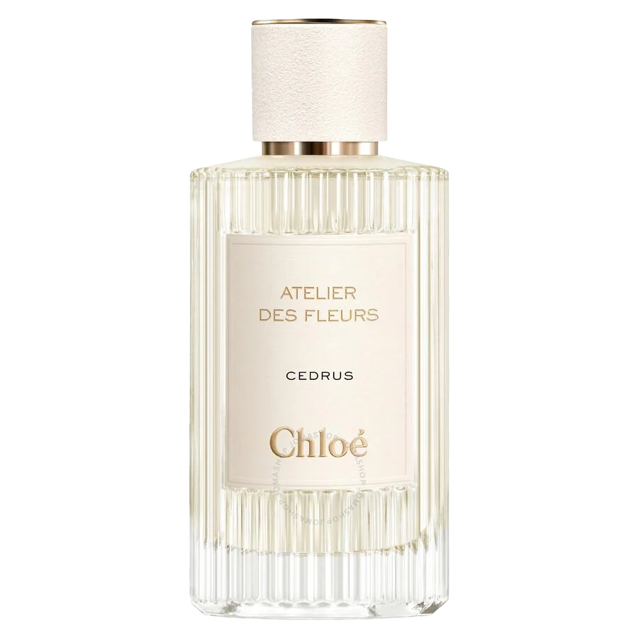 Atelier Des Fleurs Cedrus
