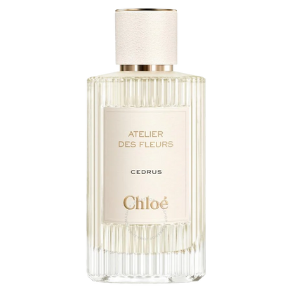 Atelier Des Fleurs Cedrus