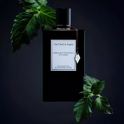 Moonlight Patchouli